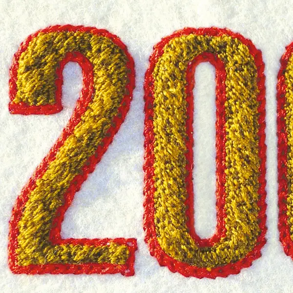 Bordadora industrial BRAVO